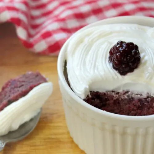 Keto Berry Mug Cake